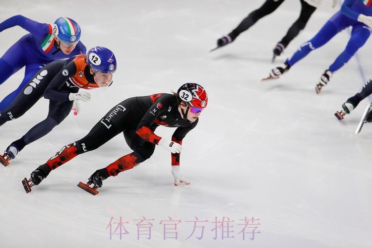 国际滑联单双人滑裁判长及裁判员学习班结束 国际滑联单双人滑裁判长及裁判员学习班结束